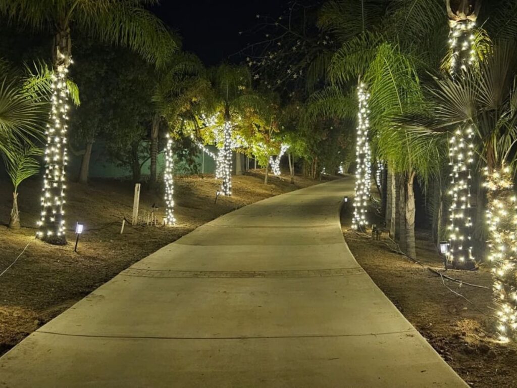 dunn-recovery-exterior-pathway-night